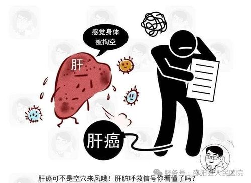 全國愛肝日 如何查看自己肝功能是好是壞 3個(gè)數(shù)據(jù)幫你來分析